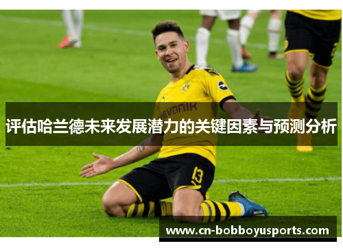 评估哈兰德未来发展潜力的关键因素与预测分析