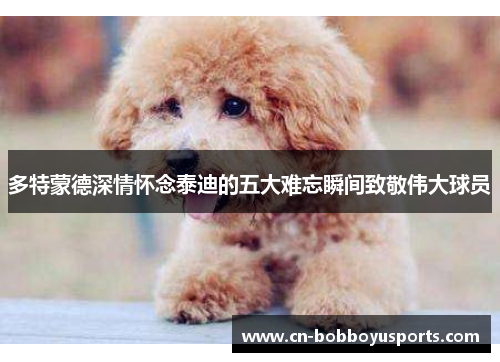 多特蒙德深情怀念泰迪的五大难忘瞬间致敬伟大球员
