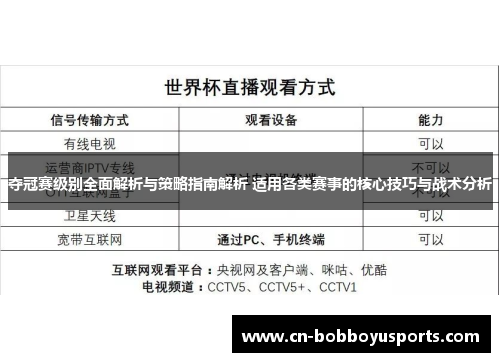 夺冠赛级别全面解析与策略指南解析 适用各类赛事的核心技巧与战术分析