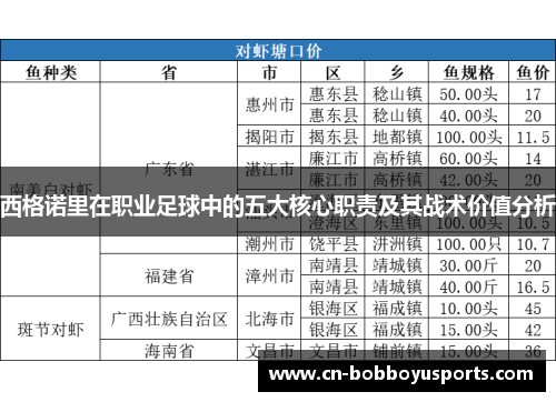 西格诺里在职业足球中的五大核心职责及其战术价值分析
