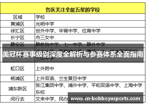 美冠杯赛事级别深度全解析与参赛体系全面指南